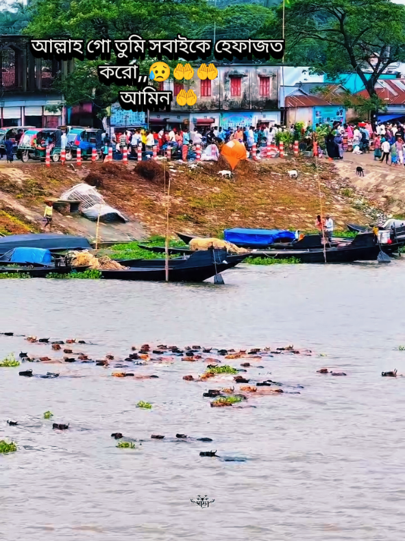 @꧁༺ মায়ার বাঁধন ༻꧂