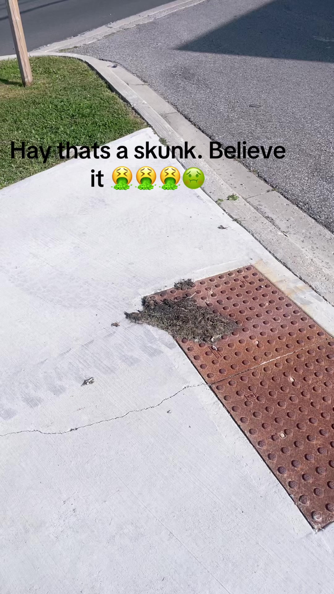 @ICE🥶