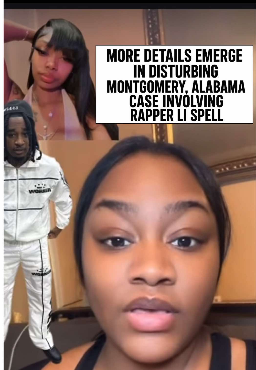 @hollywoodpest