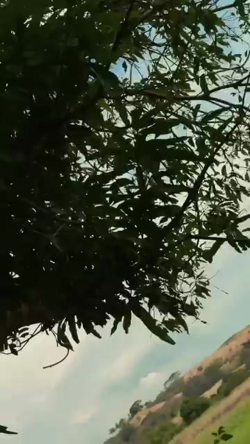 @𝓟.ॐ
