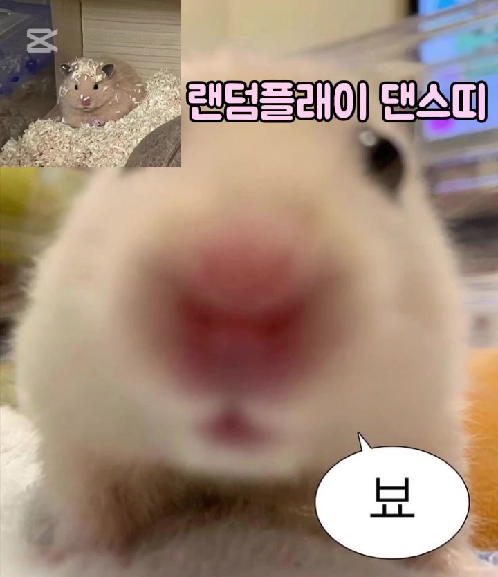 @은재