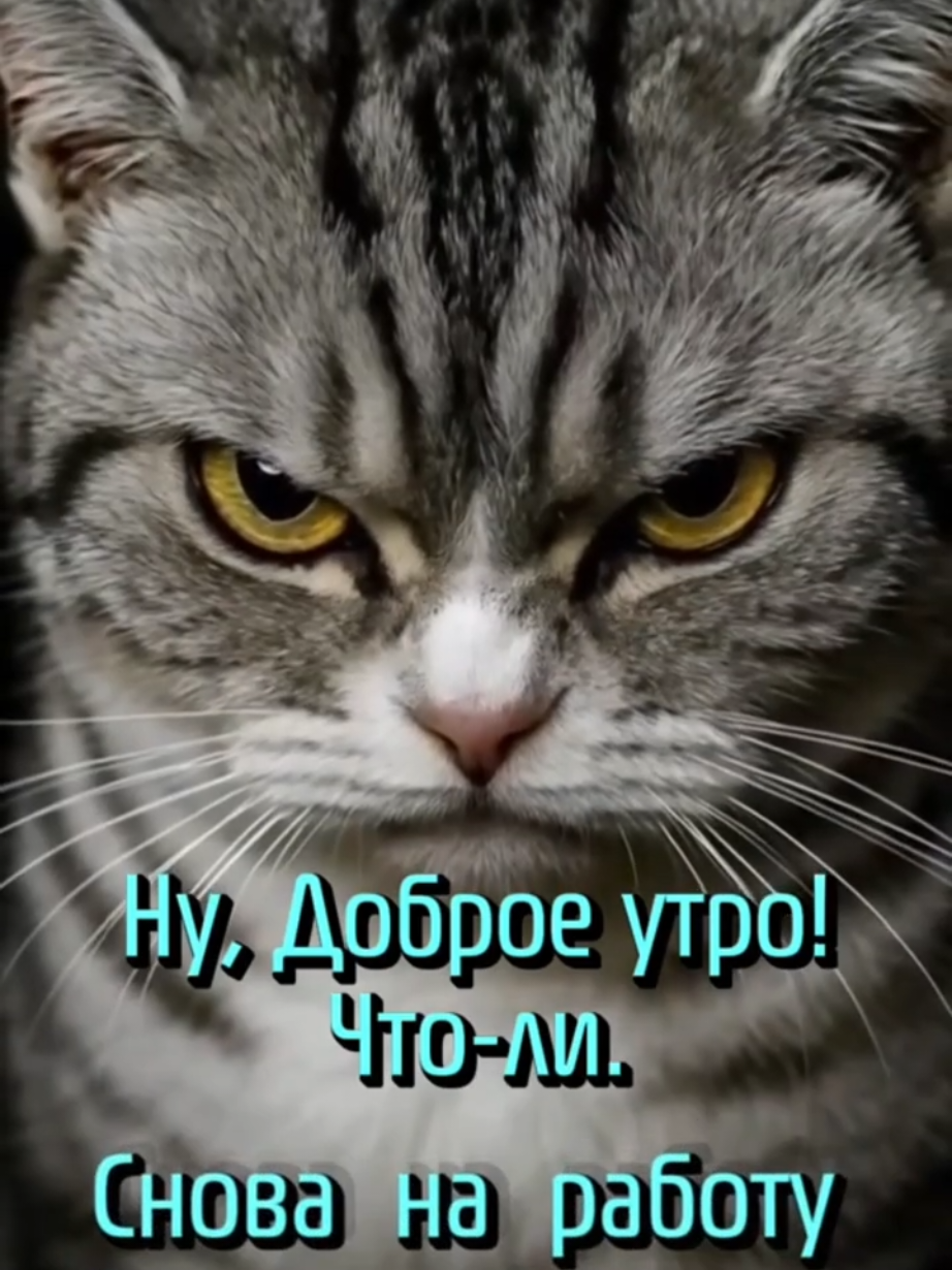 @VREDINKA😜
