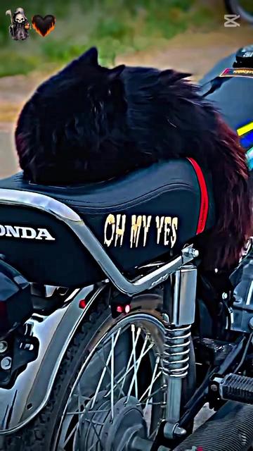 @🥷🏻BHARATH🦅🥷🏻🔥