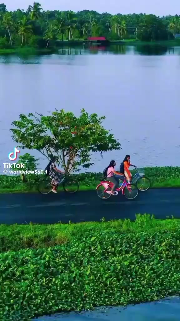 @muhammadyaqoob33721