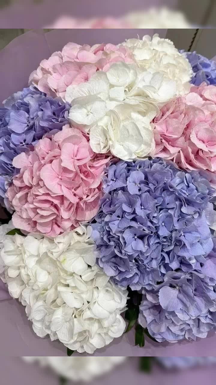 @Анюта