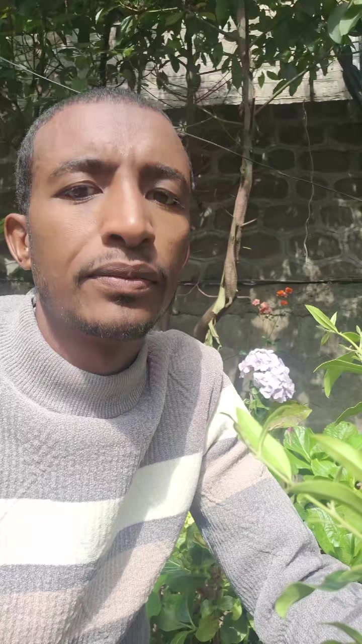 @ሀ ሚዲያ | Ha Media