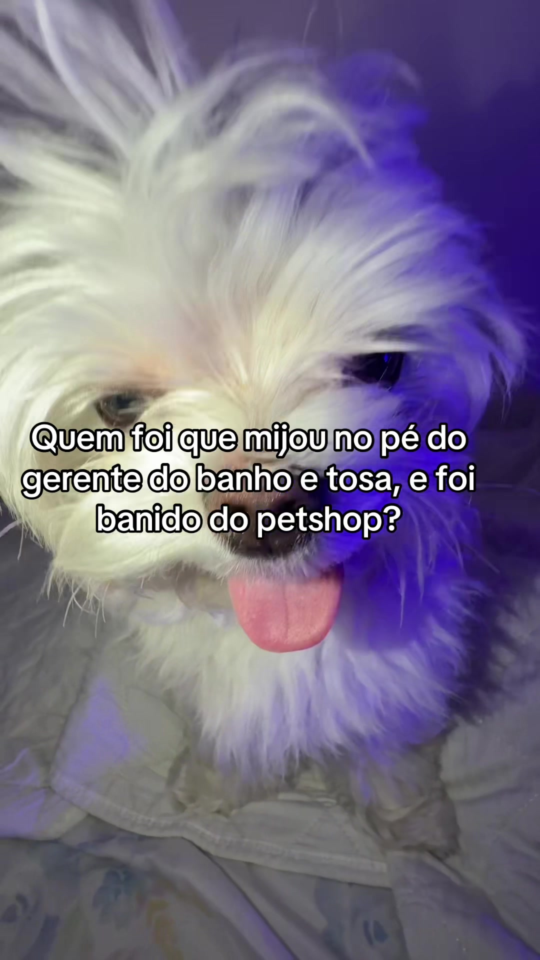 @Biluzinho