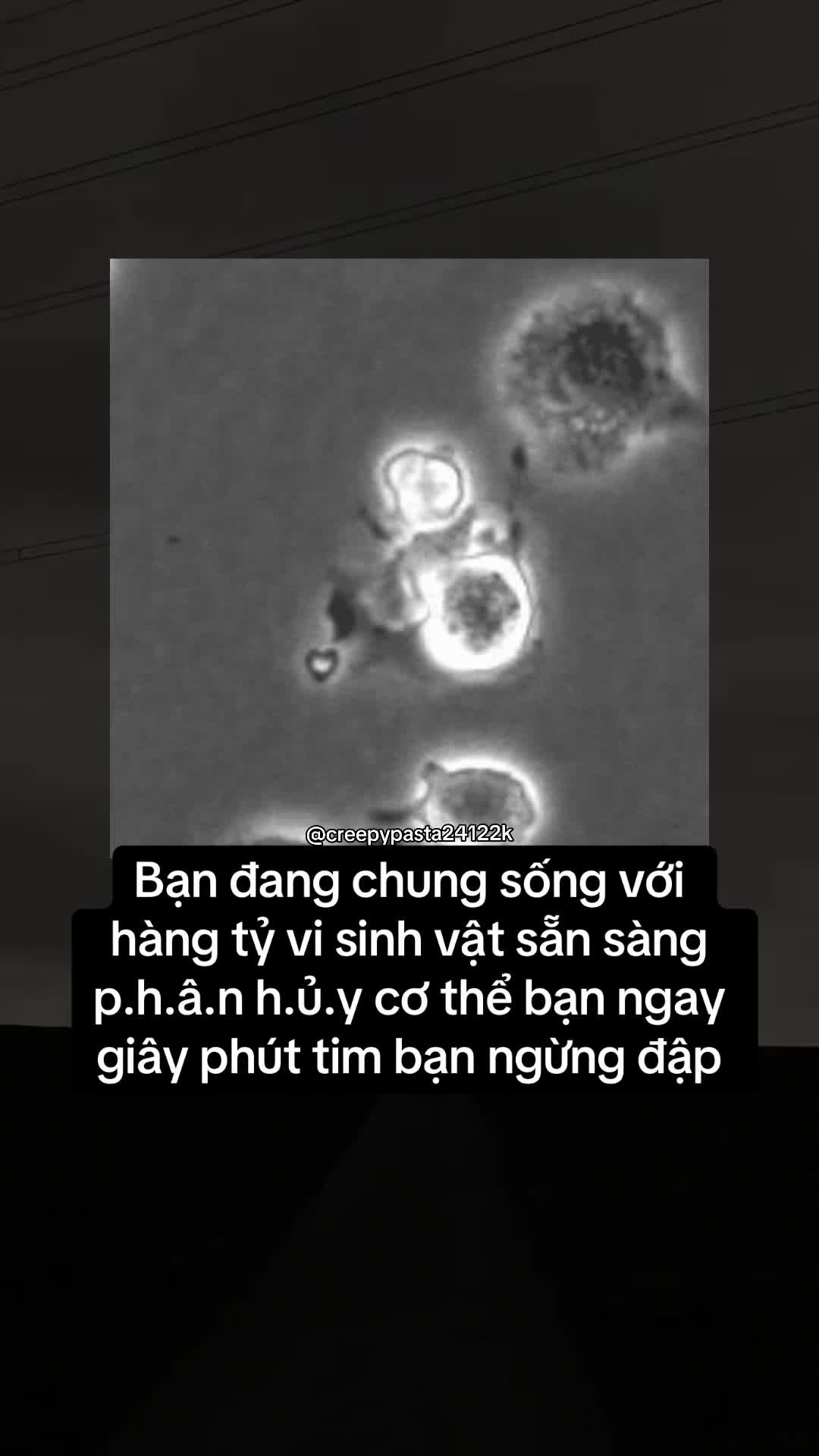 @𝐂𝐎𝐃𝐄𝐗