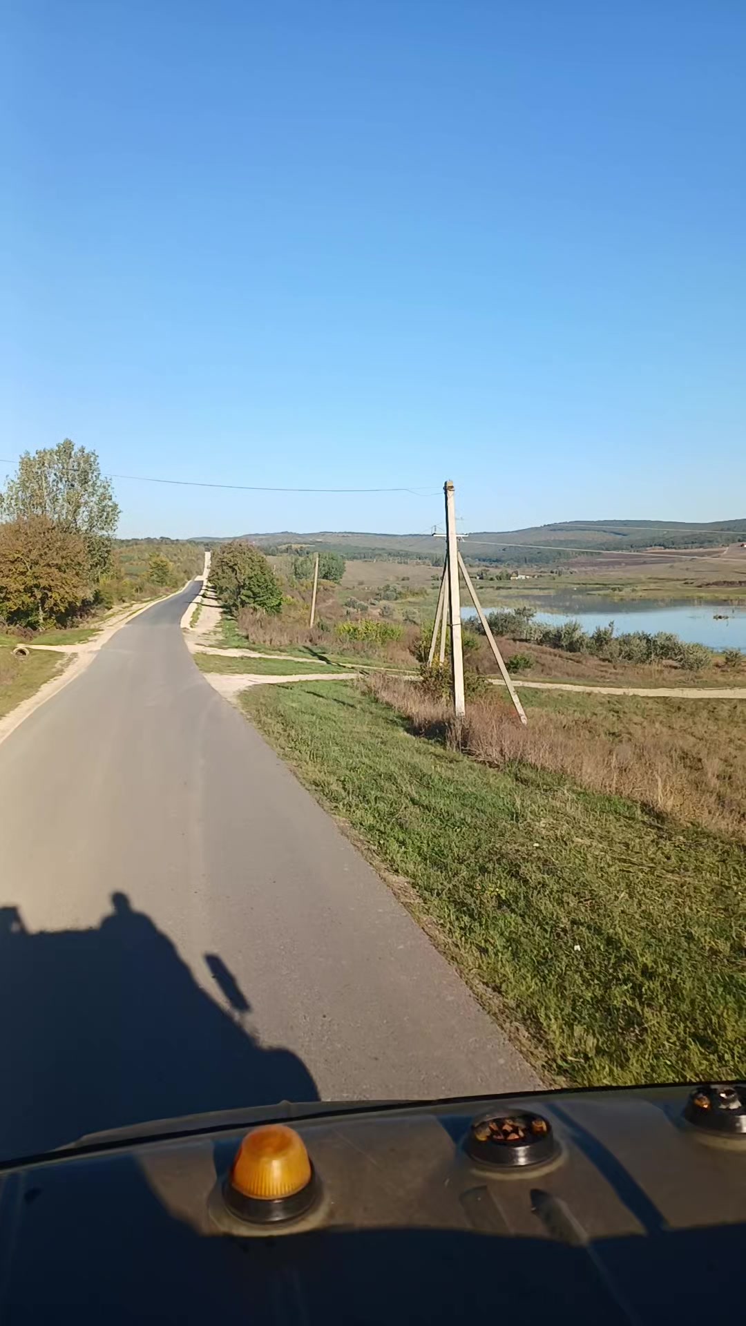 @lileazelencu
