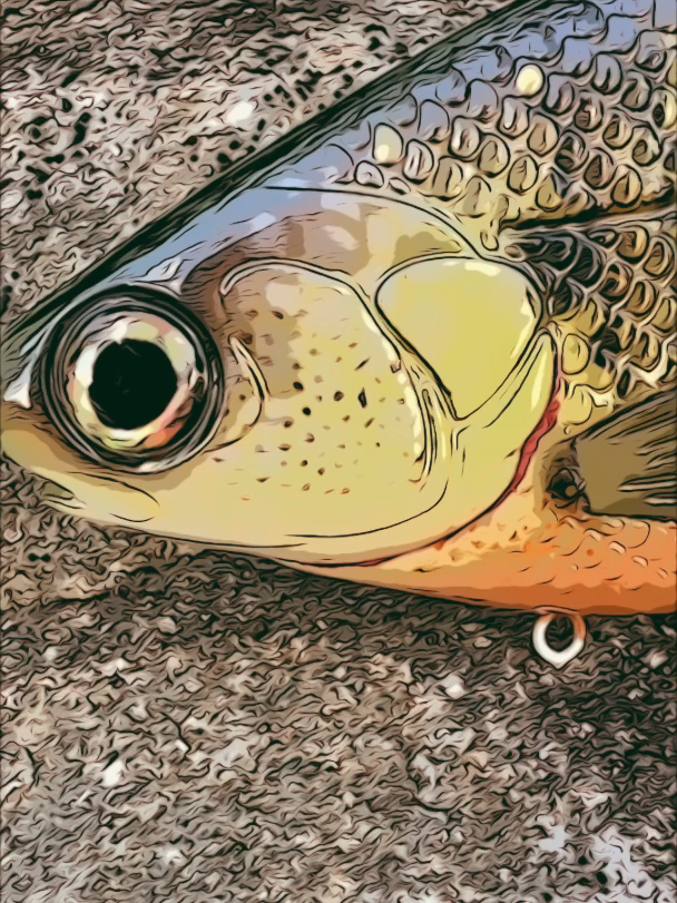 @Custom Bait Shop