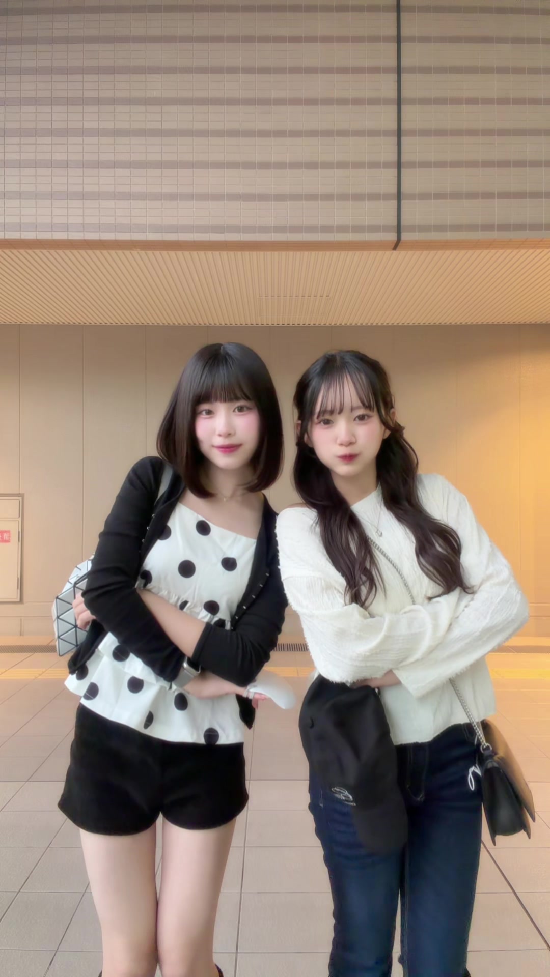 @表 すみれ (おもて すみれ)