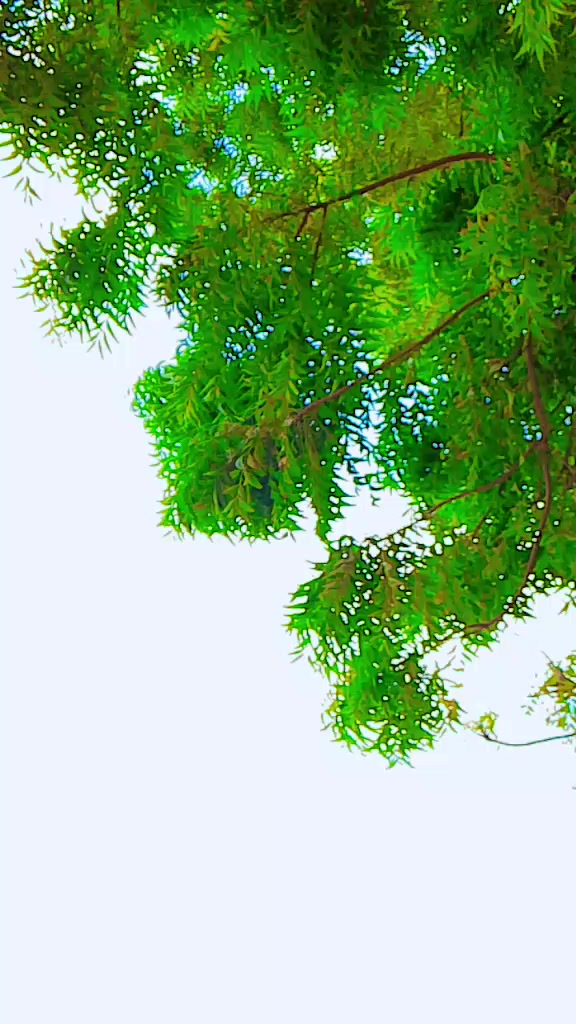 @S. عبدالشکیل بلوچS.