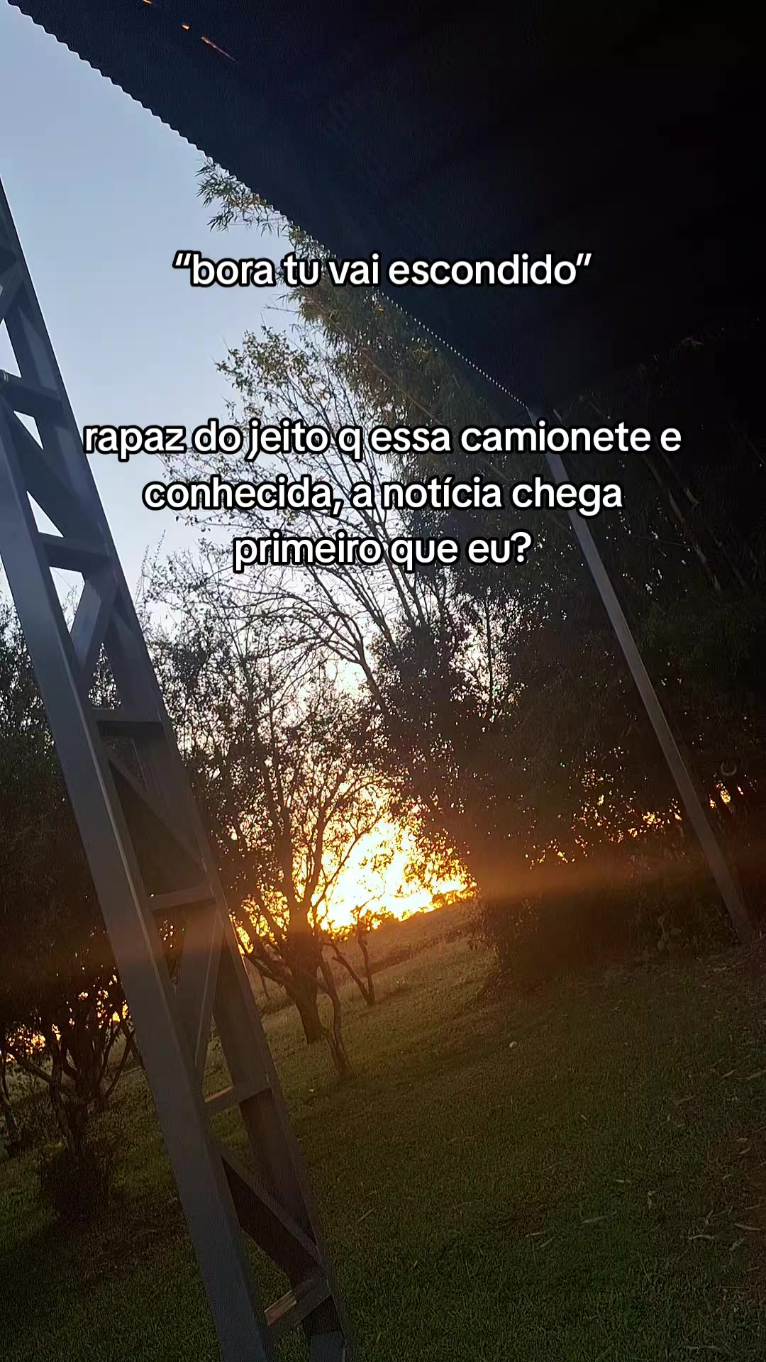 @thalia gerhardxv