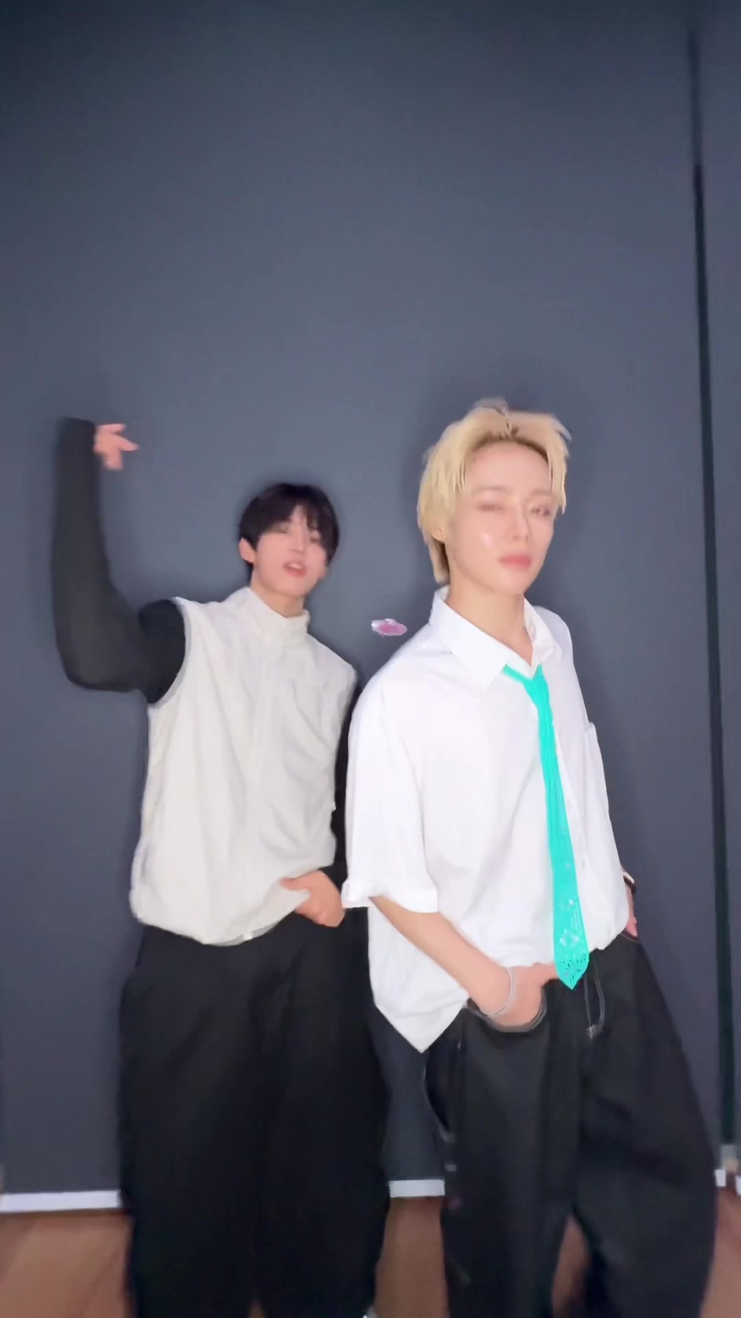 @템페스트(TEMPEST)