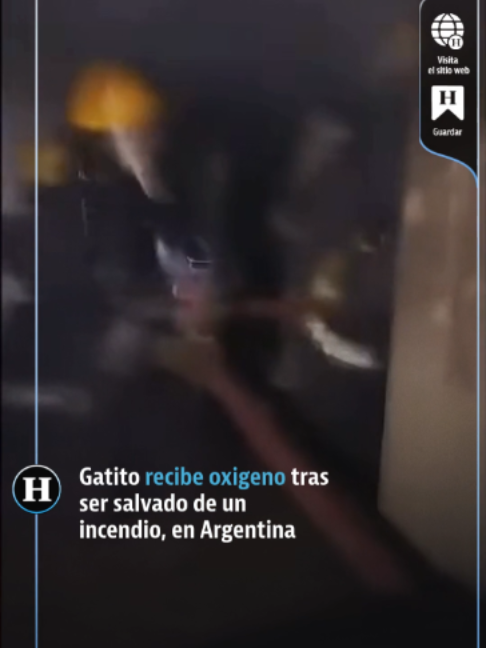 @elheraldodemexico