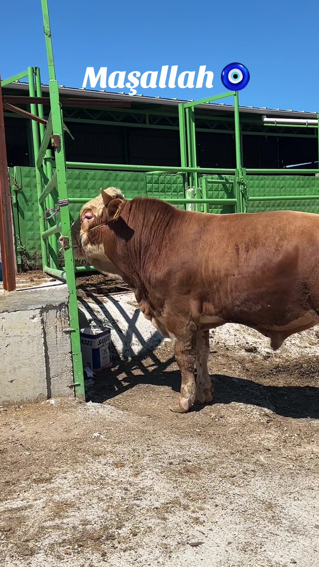 @Birol Çakıroğlu