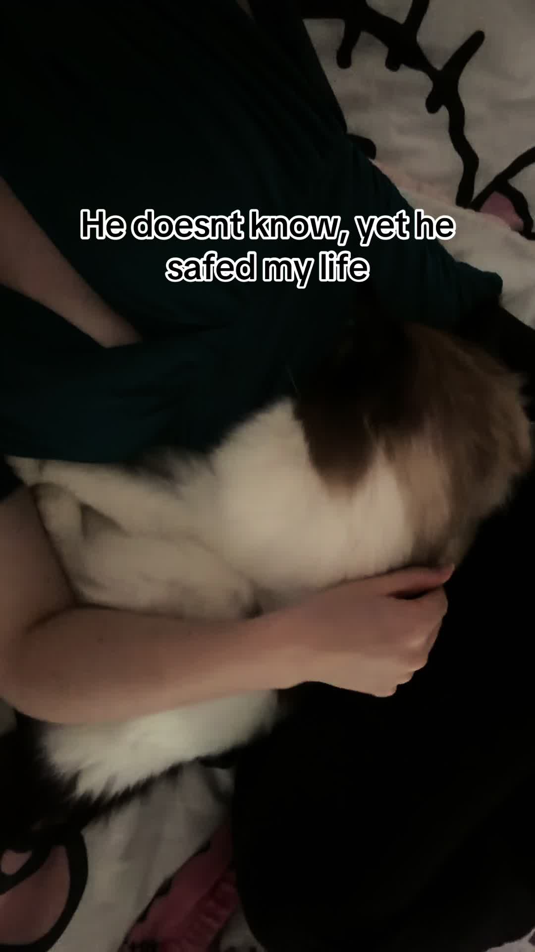 @totalmessforu
