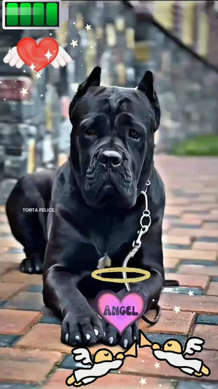 @tati_tati46