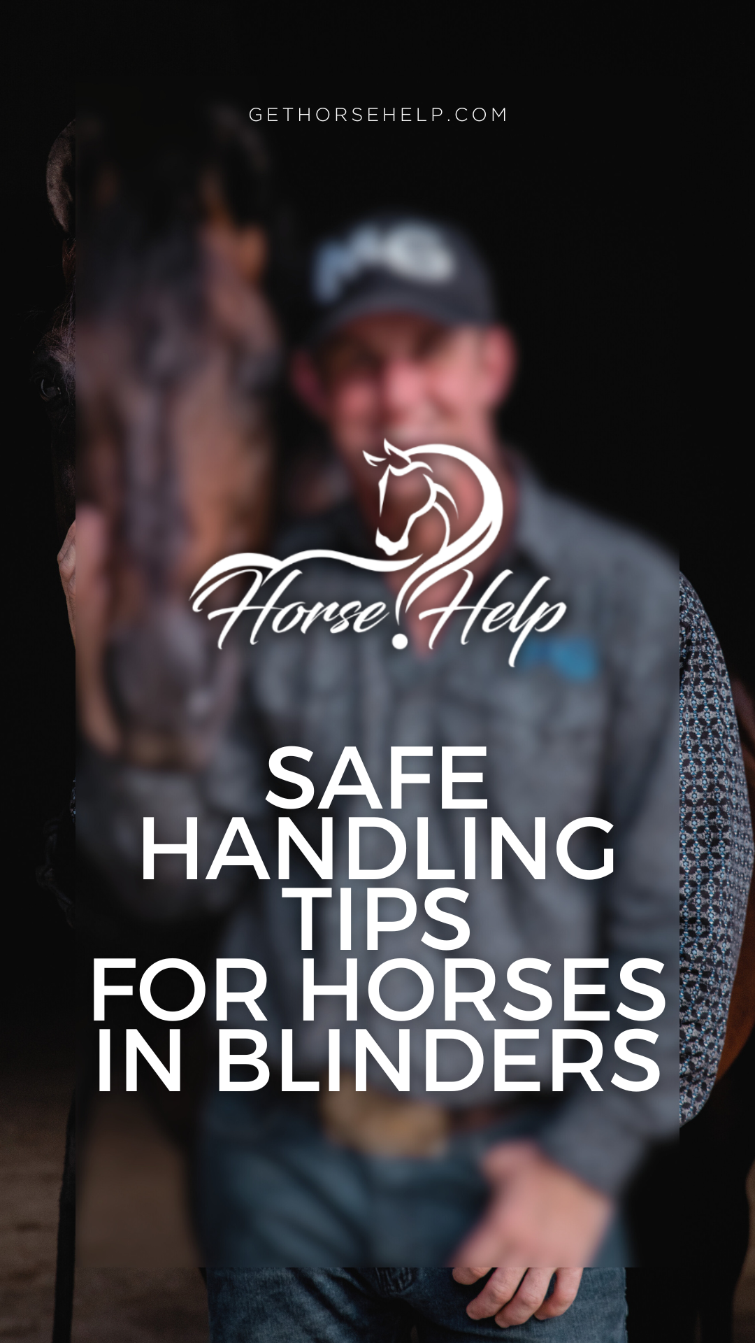 @Horse Help