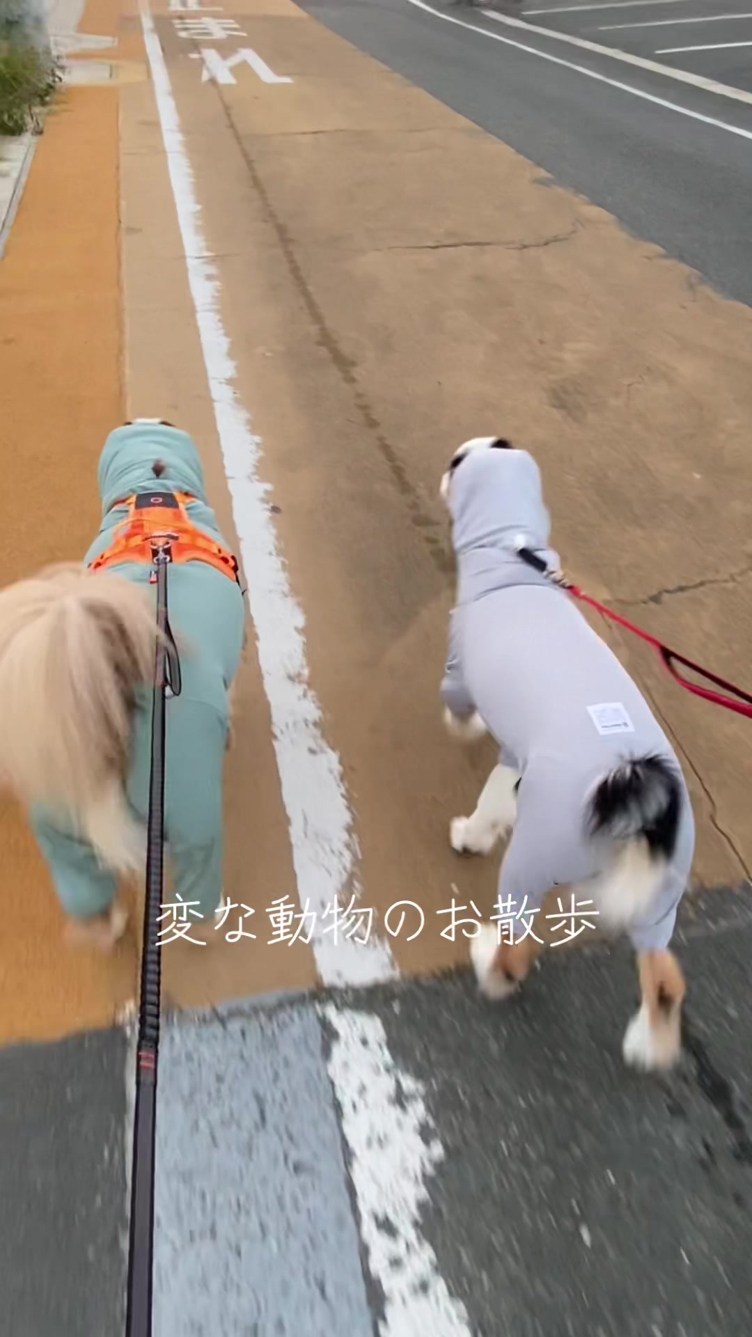 @サン&タマ