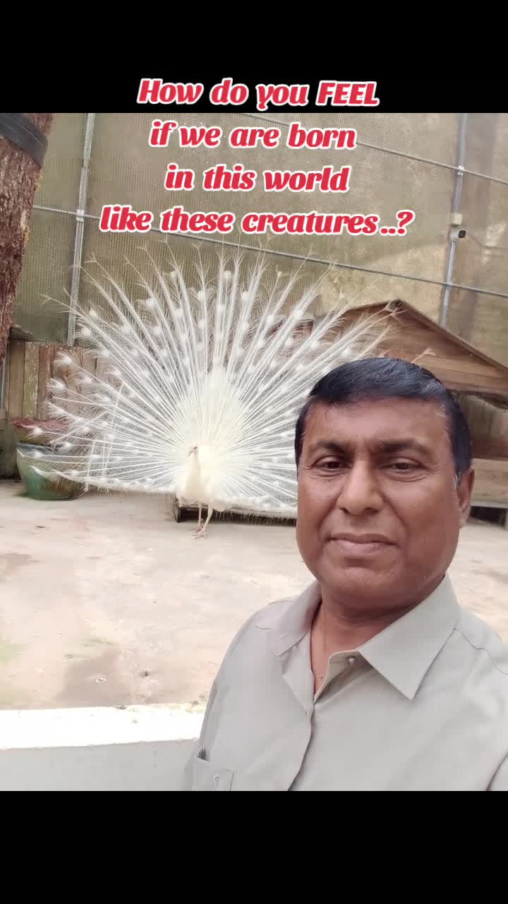 @Barathy Perumal