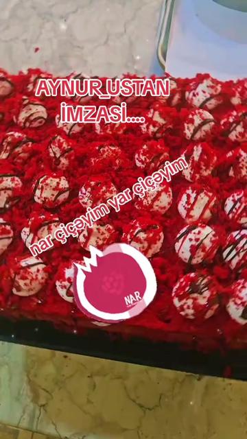 @Aynur_usta