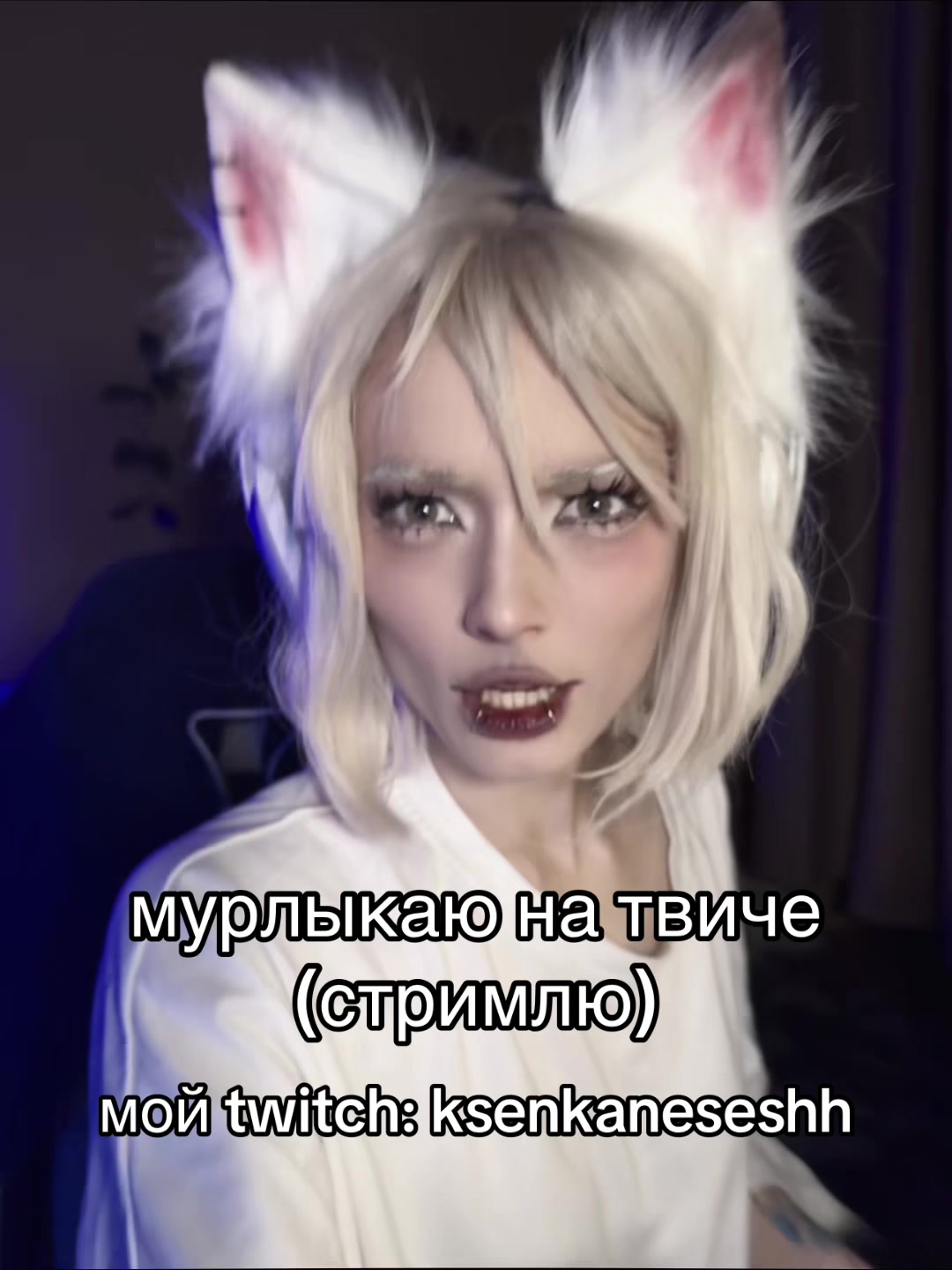 @ksenka ✮⋆˙