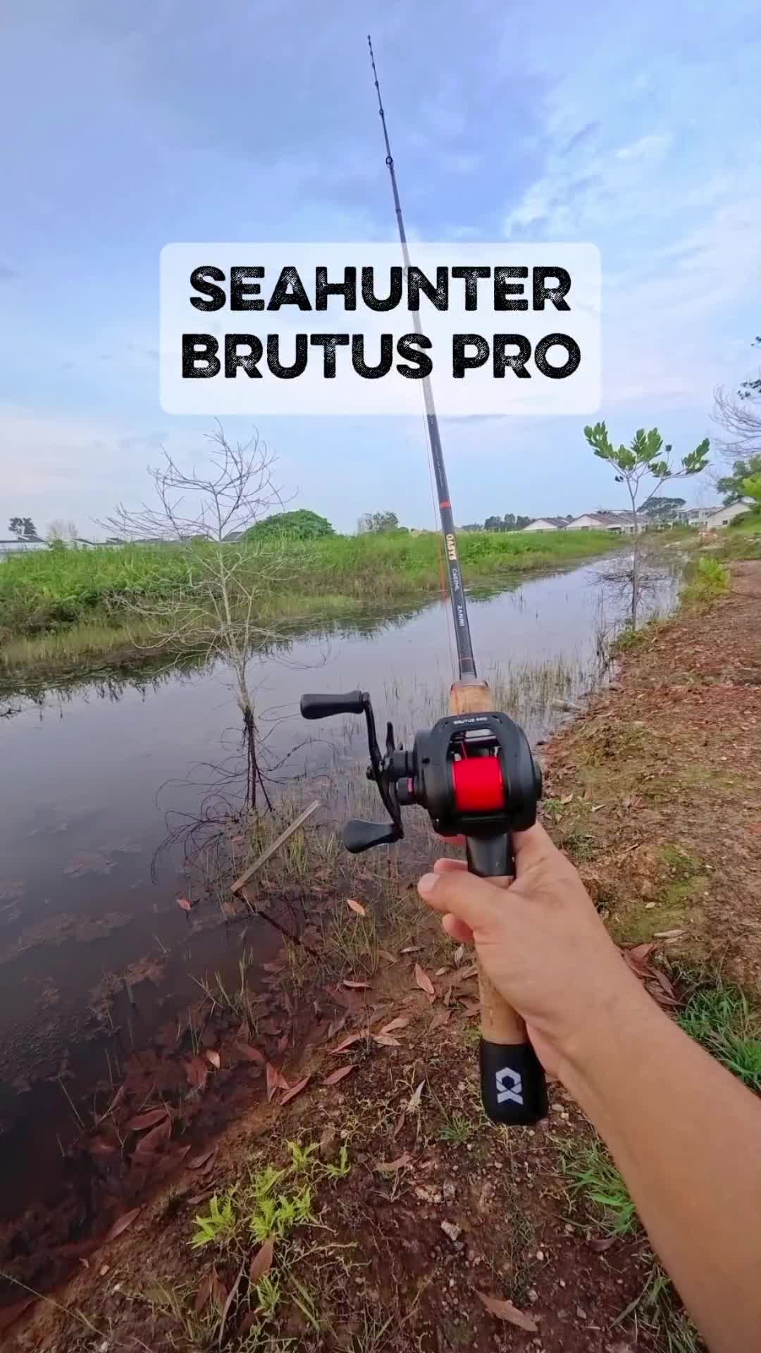 @Papa X Kumpau