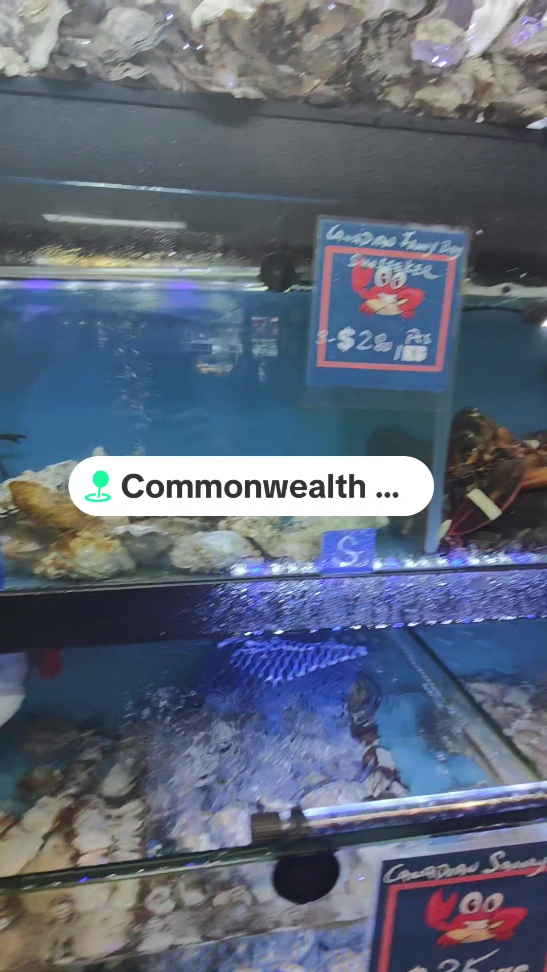 @Live Seafood Supply @ Crabtalk