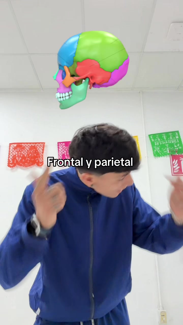 @ENDOBOY