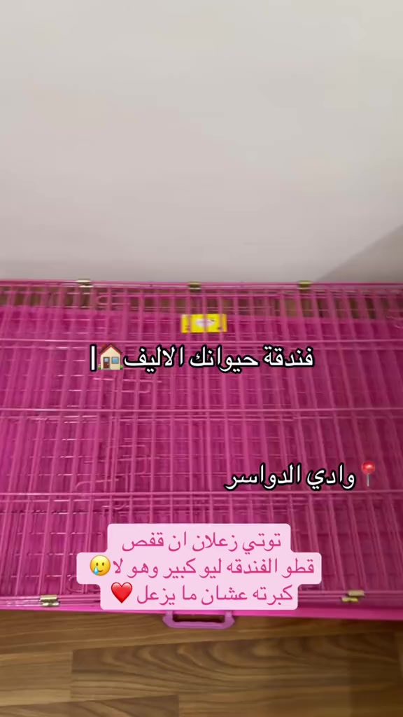@فندقة وادي الدواسر | طيور وقطط