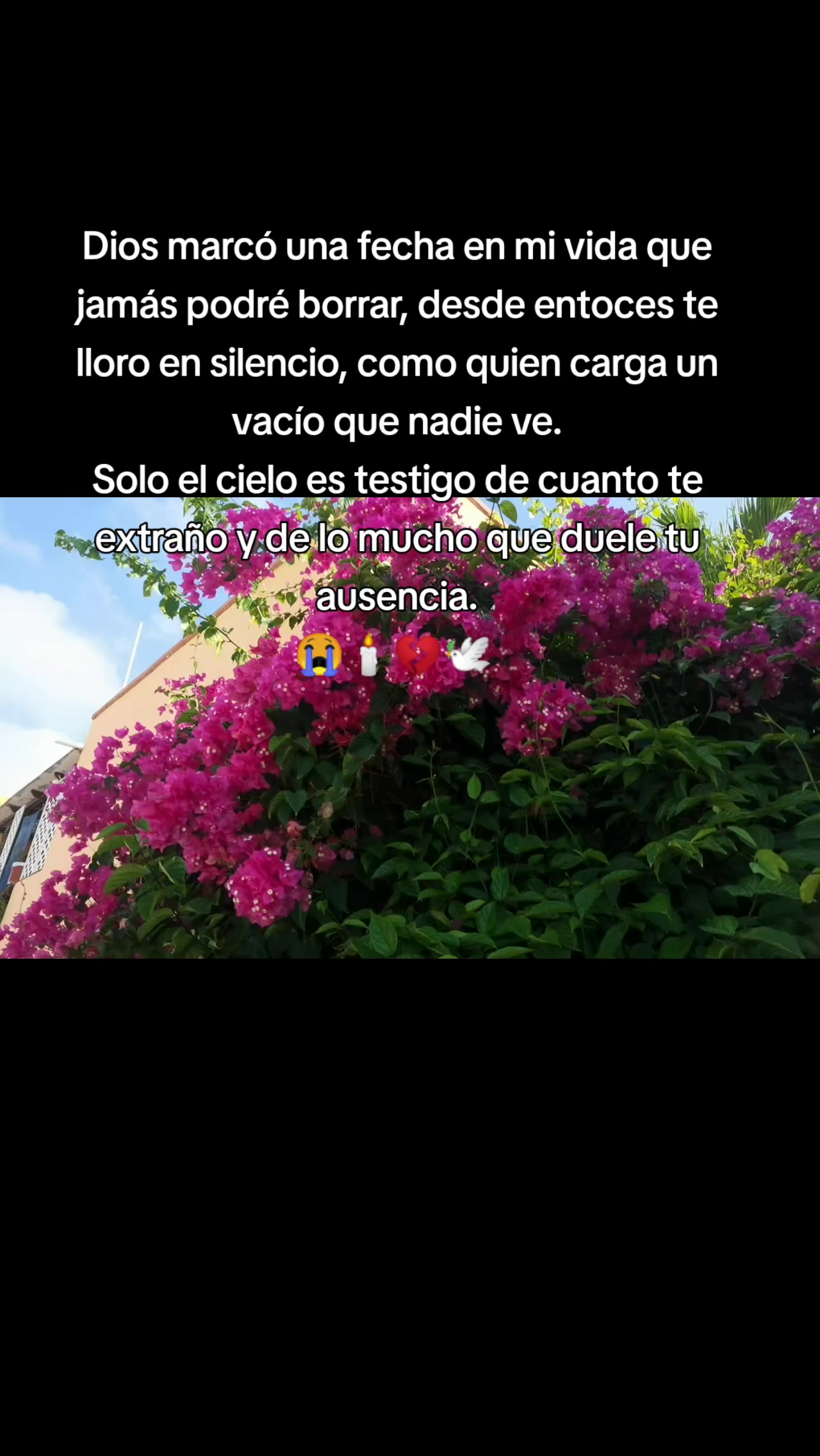 @viikyrs