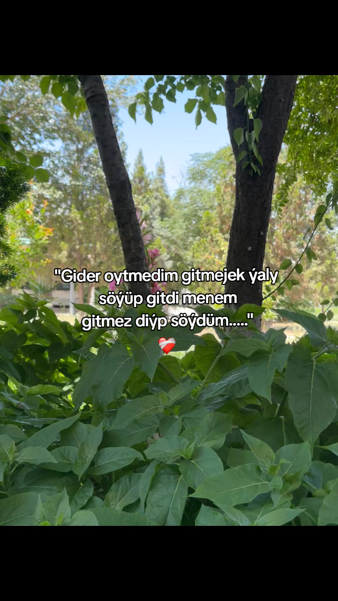 @ℛ𝒶𝒽𝓂𝒶𝓃ℴ𝒻𝒻__7