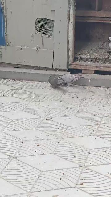 @Kenan Öztürk