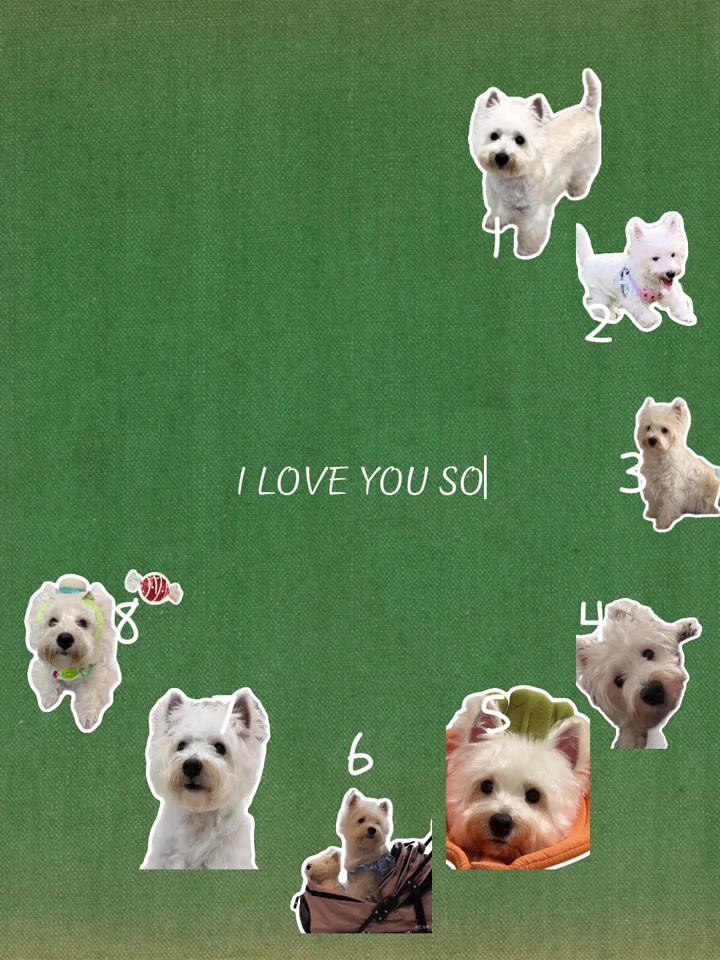 @Only For You