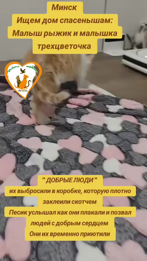 @Марина