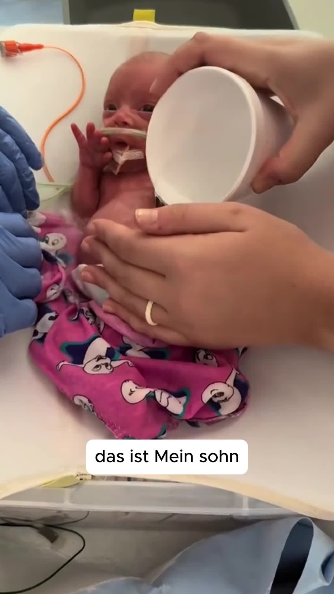 @Isabellafragasi