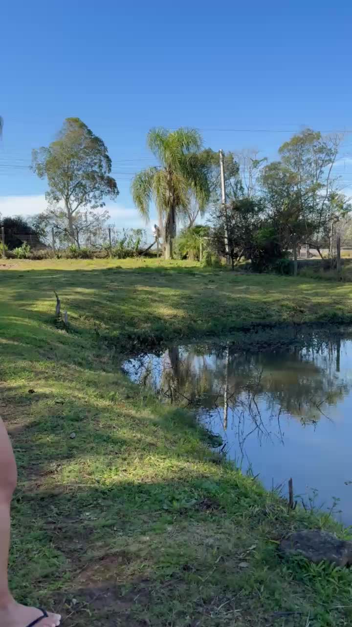 @luhxrush
