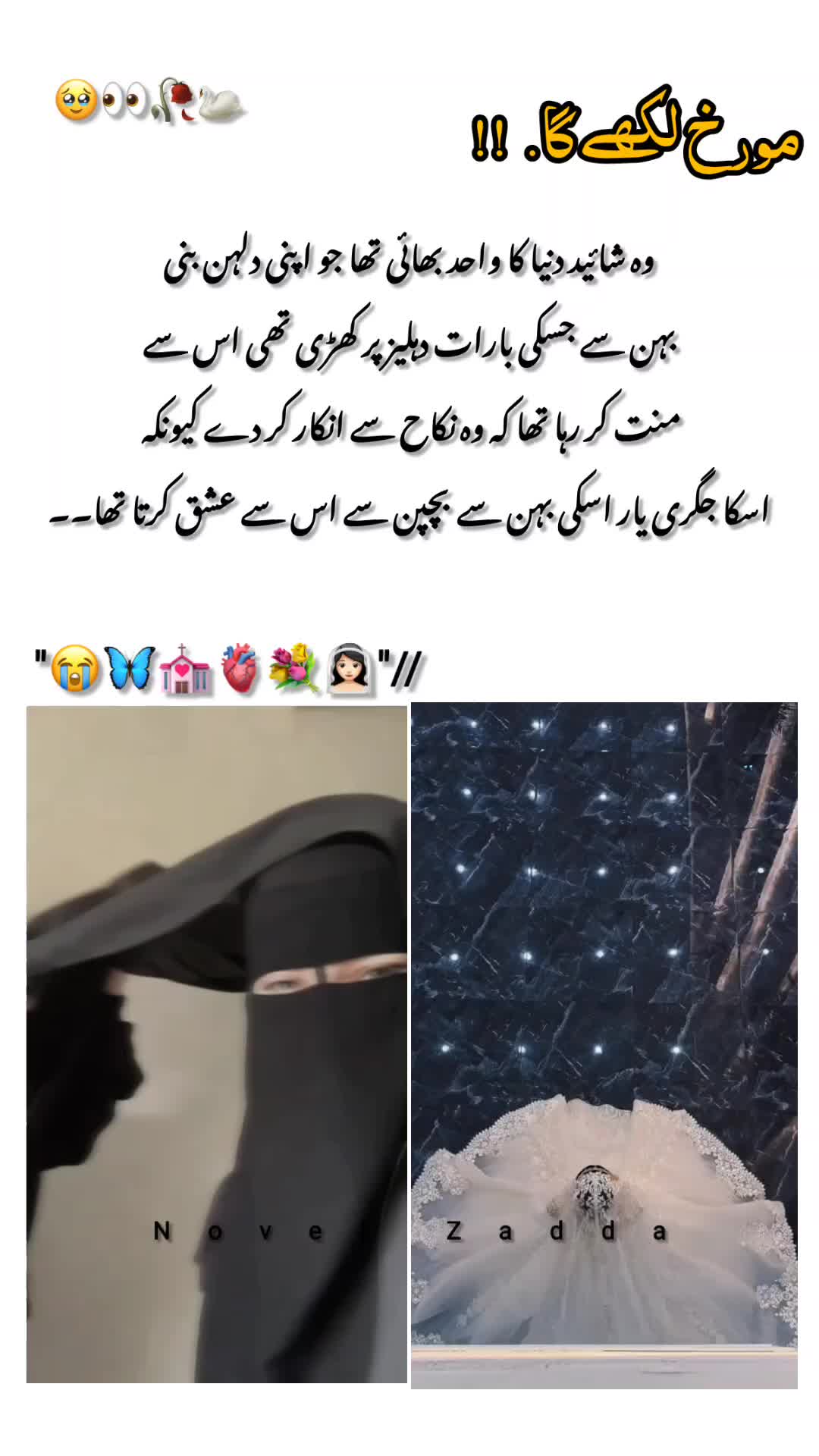 @𝗡𝗼𝘃𝗲𝗹 𝗭𝗮𝗱𝗱𝗮 ᥫ᭡