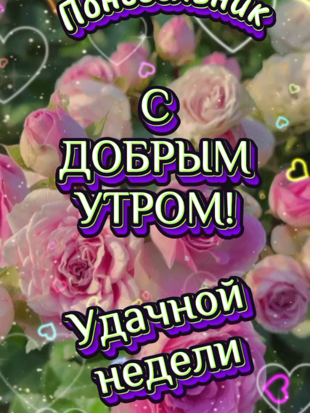 @ALEKSA