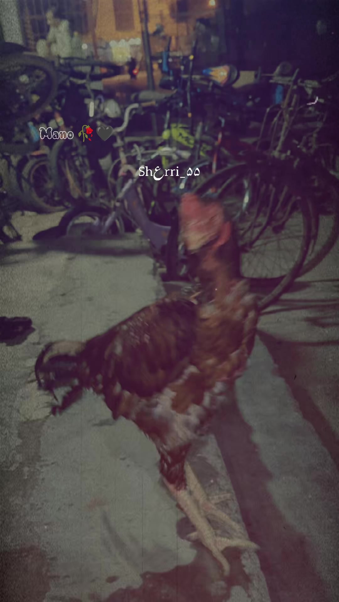 @๐๐ฅDaูÍ๐ฅ๐
