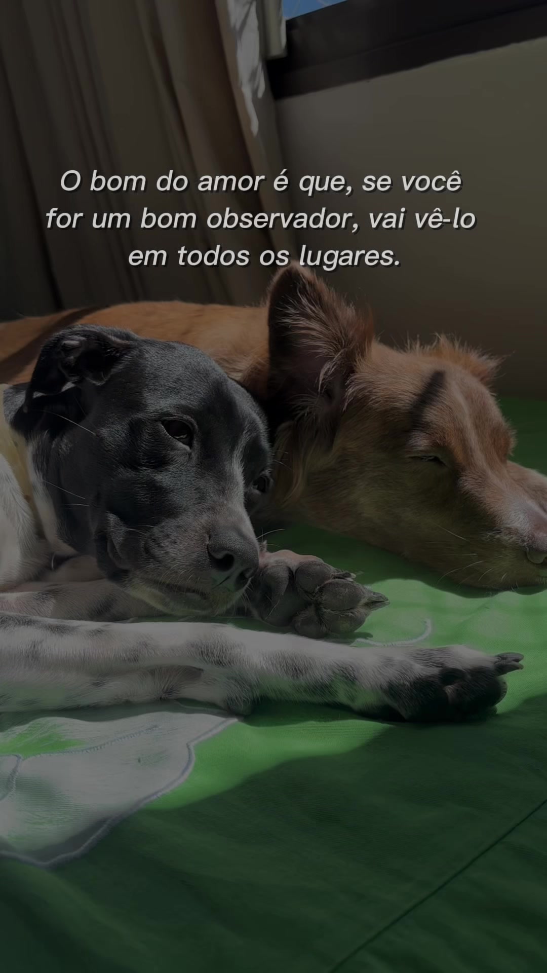 @Bella Giselly