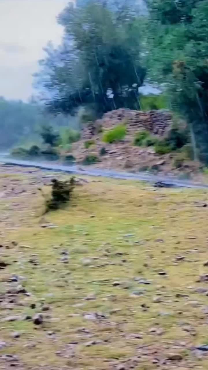 @جابر قطر804