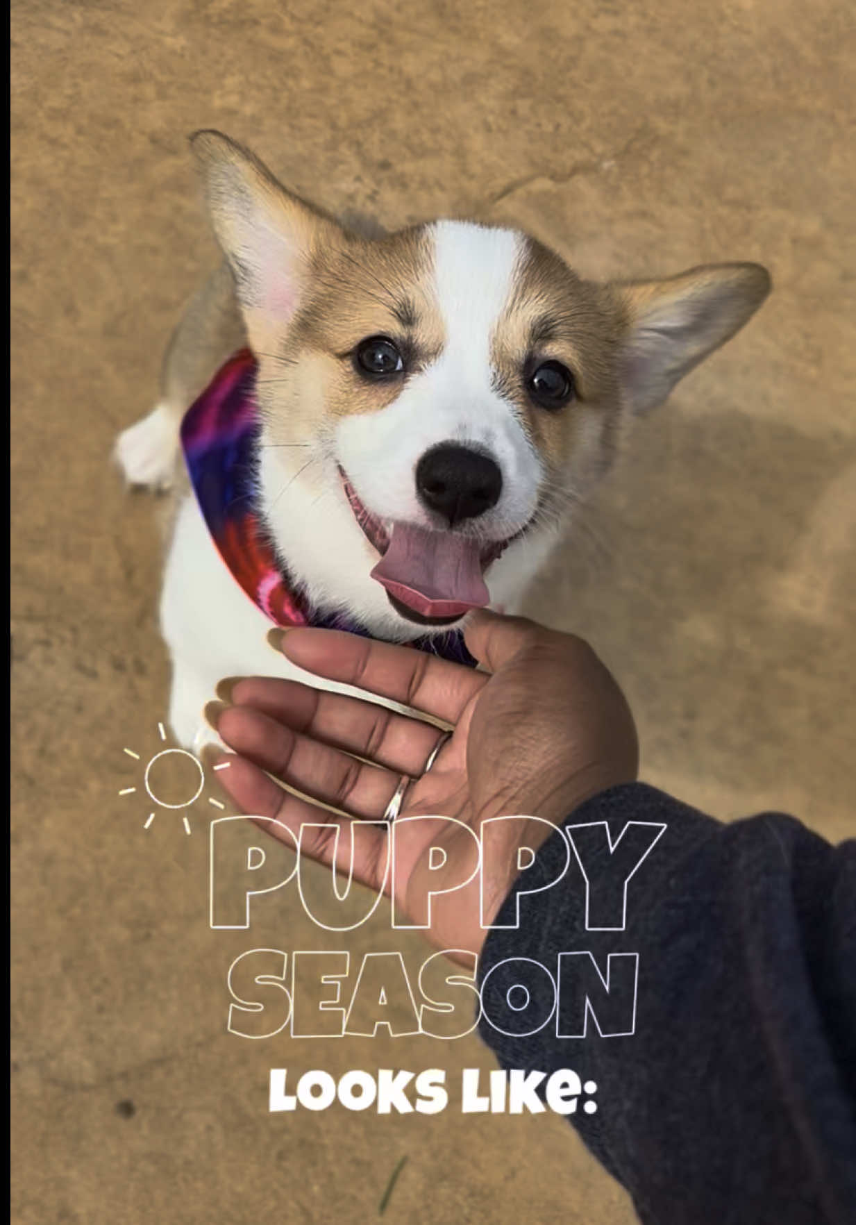 @Petland Oklahoma City