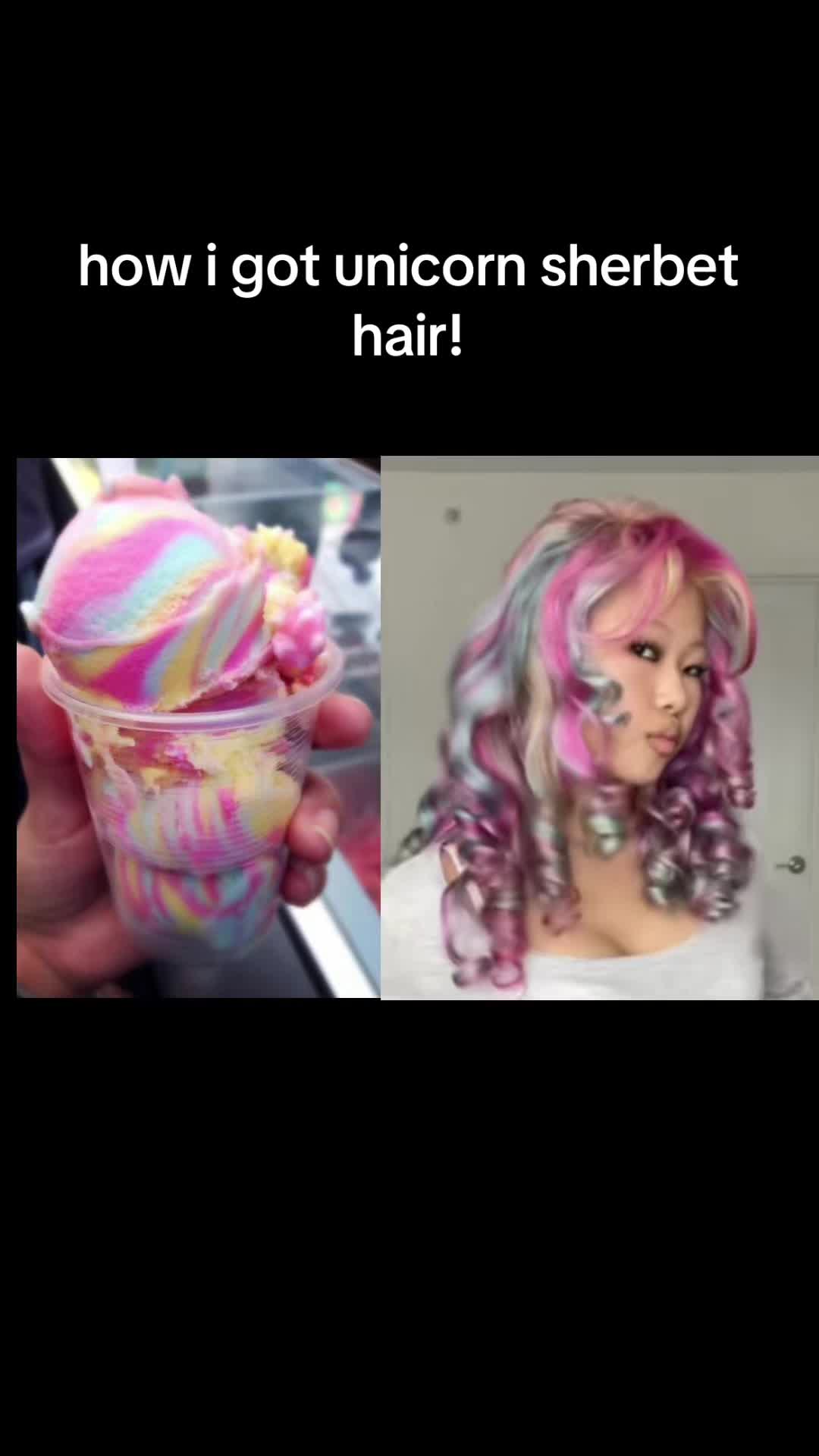 @chia.chihuahua1