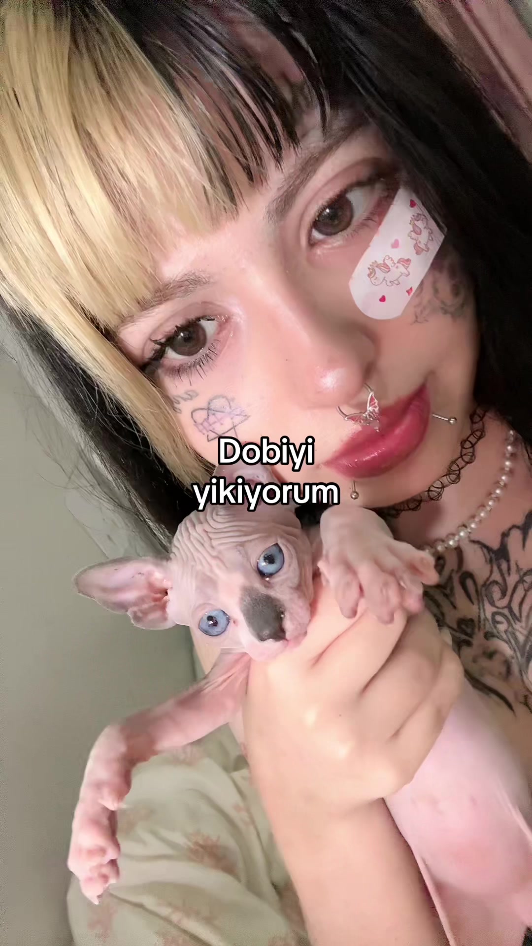 @⦻lolidog4