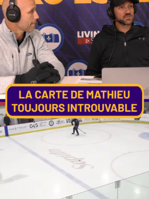 @lapochebleue