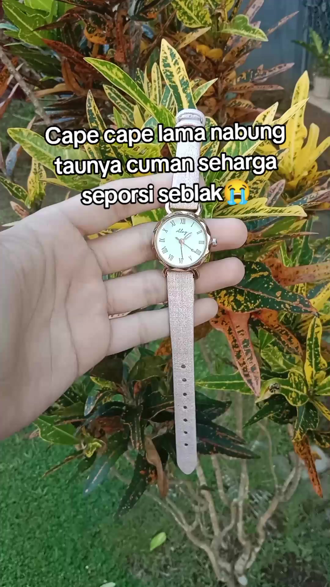 @S-tetik 🛒