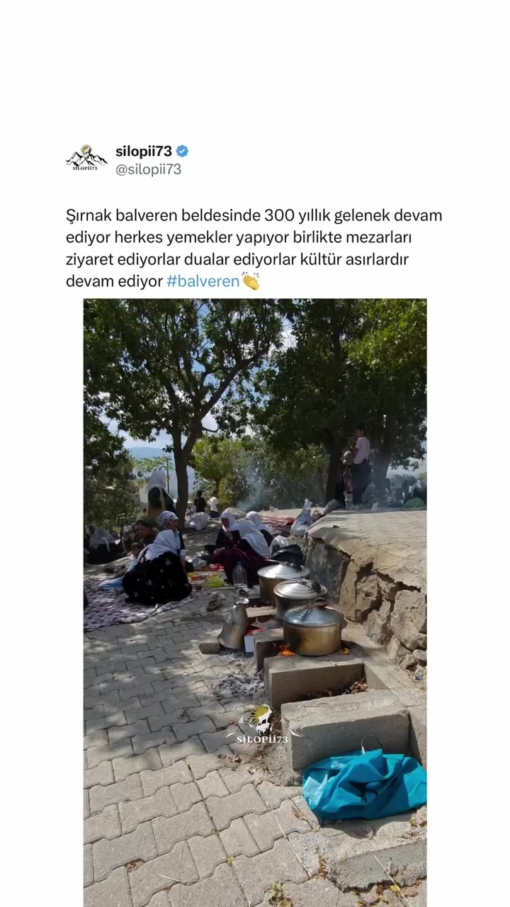 @viddeo73