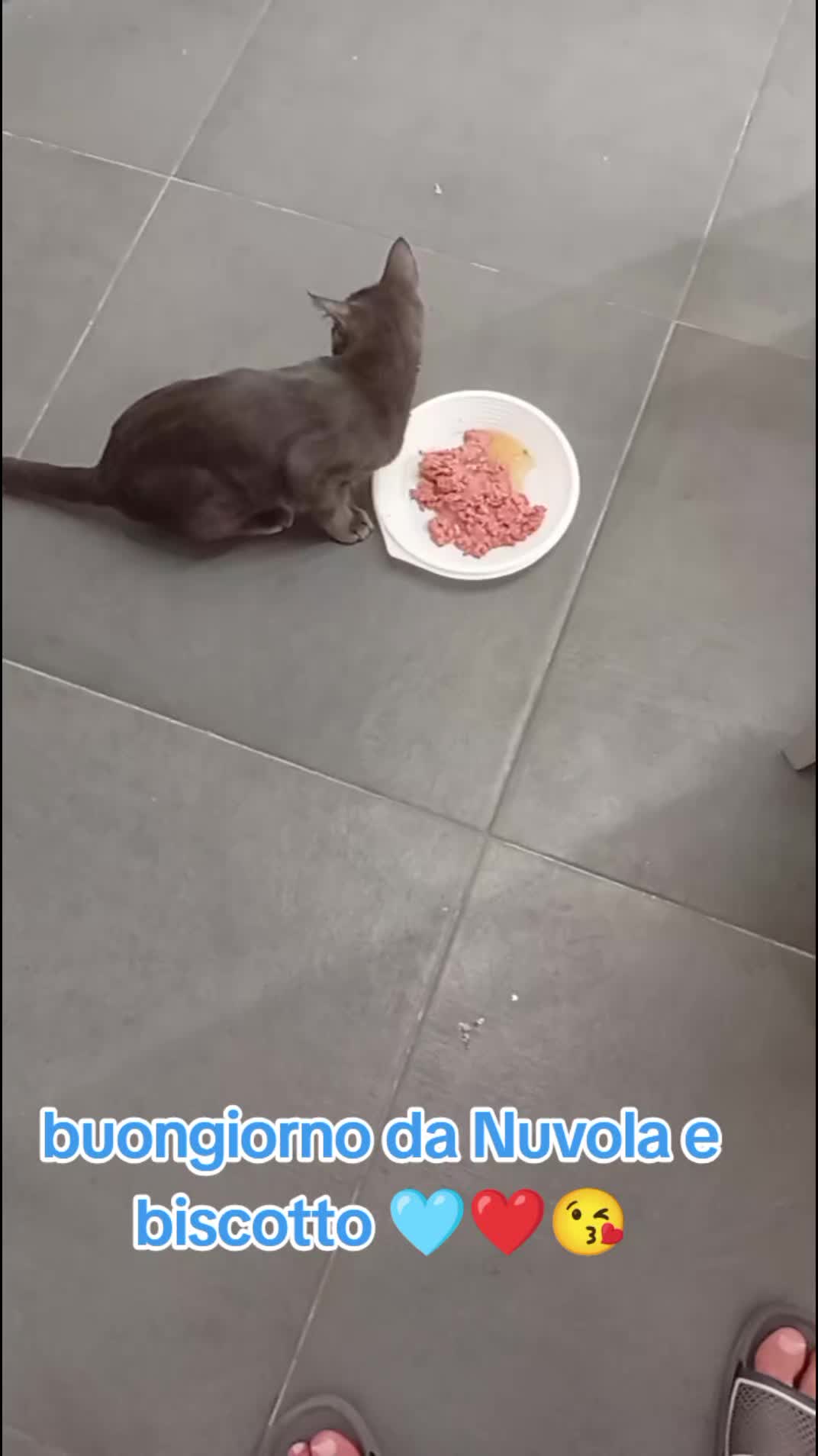 @Ciro Pelliccio